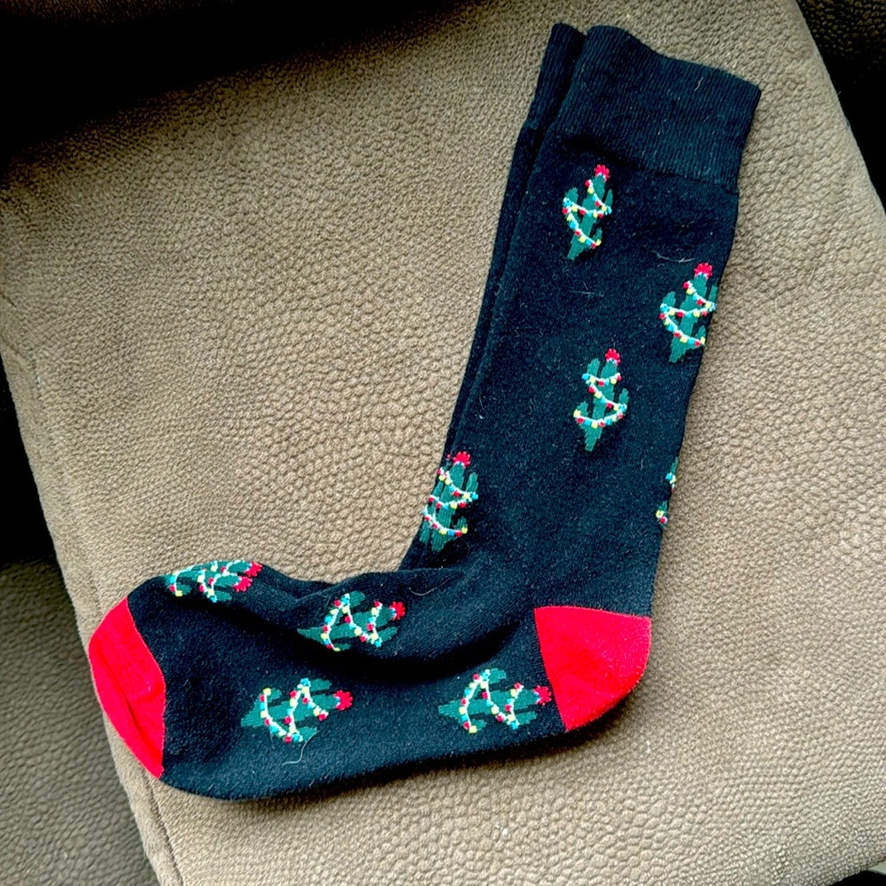 Banana Republic Cactus with Christmas lights socks